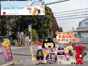 曇り空なのに気温高い2月の月末&週末の野田パワスポ