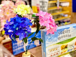 九州は梅雨入り2021