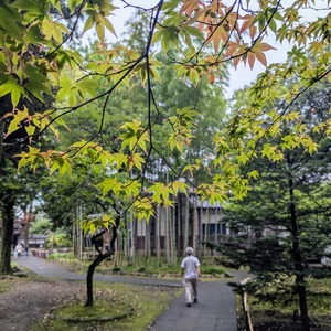 PXL_20240714_060133144