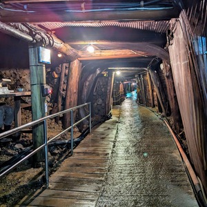 PXL_20240602_064447871