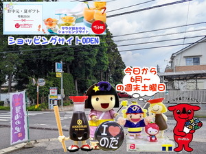 PXL_20231026_235923956