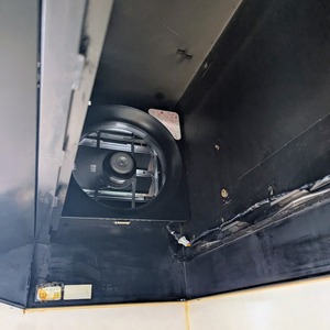 PXL_20250330_015519097~2