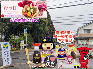 PXL_20231026_235923956