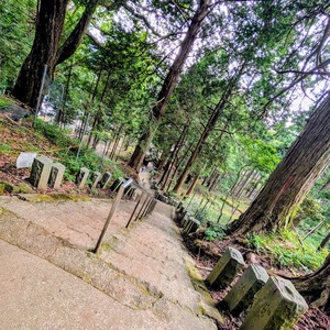登山の雰囲気だけ味わう