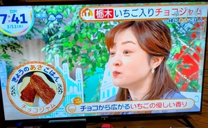 栃木は、苺の里|野田市は、醤油の里