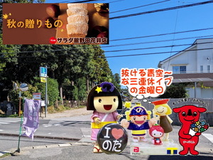 PXL_20230920_000515179