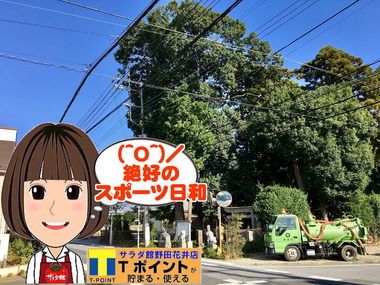 野田市のスポーツ日和