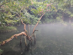 PXL_20250810_050035428