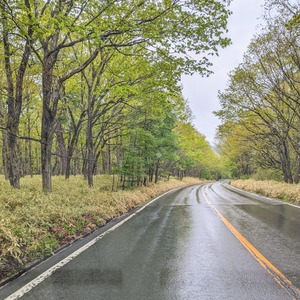 PXL_20240602_052439267