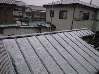 今年の初幸の風景