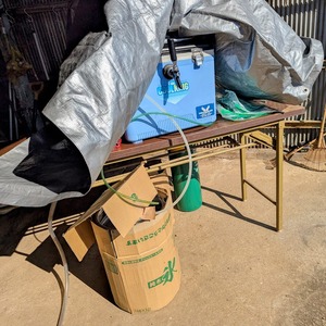 PXL_20250723_0909283092