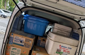 IMG_20250207_124336_optimized