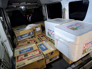 PXL_20251026_05255397