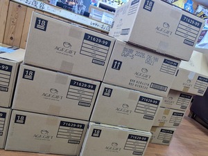 PXL_20241114_233809161