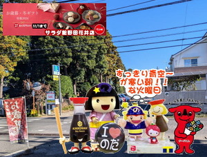 PXL_20240929_234446616