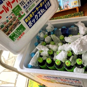 氷点下のお茶配達