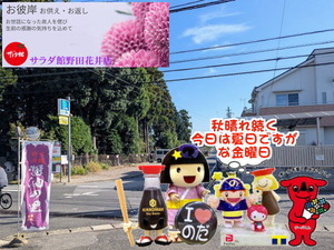 chibaken-cashless_banner_a_320x50