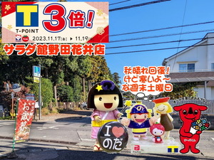 PXL_20231026_235923956