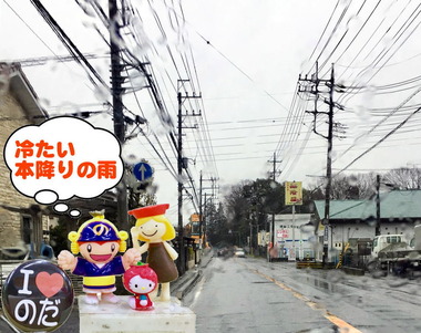 本降りの雨201703