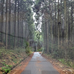 PXL_20250316_062133086~2