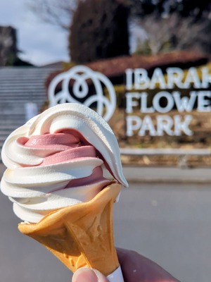 IMG_20250209_131736~2