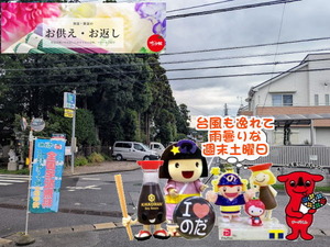 PXL_20250505_232229453