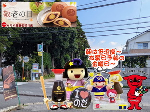 PXL_20231026_235923956