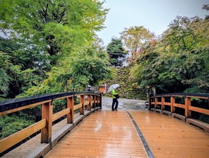 PXL_20251026_021503867~2