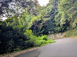 PXL_20250914_083321959~2
