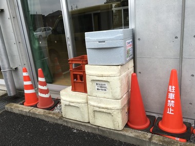 12439472_991905950896311_427848689280539339_n