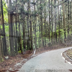 PXL_20240602_020121367~2