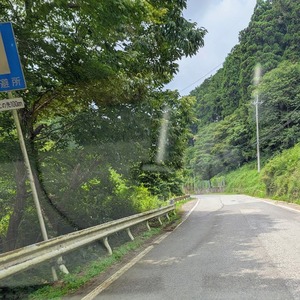 鹿沼市の林道から