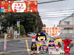 野田パワスポ|小雪舞う水曜日2026の空の様子