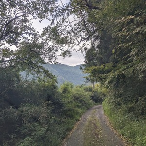PXL_20250914_065741699