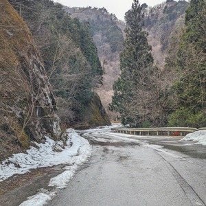 PXL_20240324_044820195