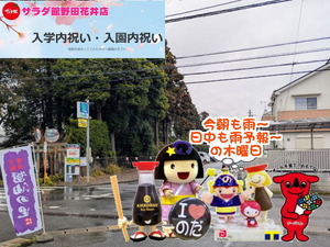 PXL_20240929_234446616