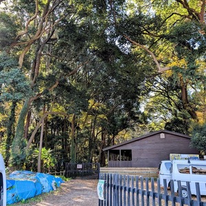 PXL_20251130_020512266-EDIT (1)