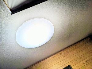 PXL_20251116_081227816~2