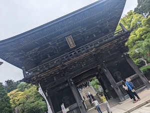 PXL_20240519_025304917