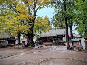 PXL_20251026_034511492~2