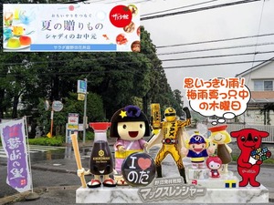 nodashi|思いっきり梅雨本番の木曜日
