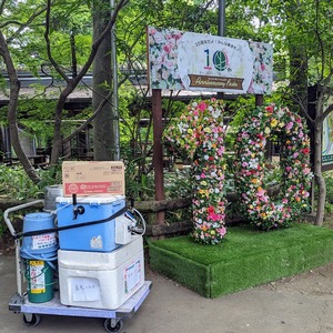 PXL_20240609_002418515