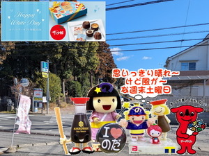 PXL_20231026_235923956