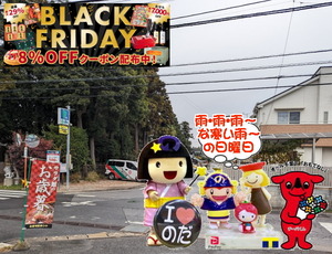 PXL_20231026_235923956