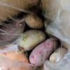頂き物｜新じゃが