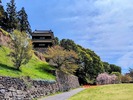 春の上田城