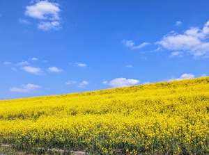 PXL_20230301_113238879