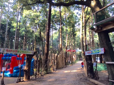 h97-natsuのコピー