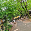 夕暮れの清水公園