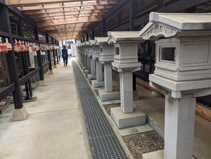 PXL_20240519_062622523